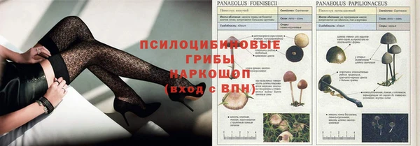 спиды Корсаков