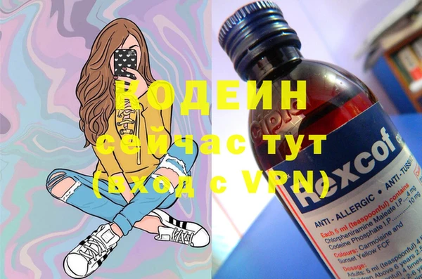 хмурый Кодинск