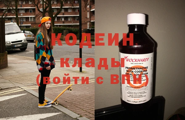 хмурый Кодинск