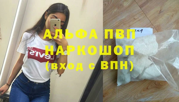 хмурый Кодинск