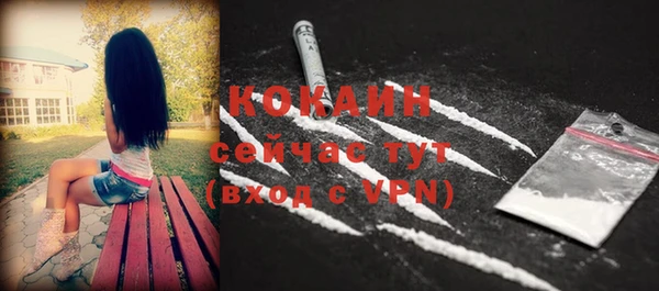 хмурый Кодинск
